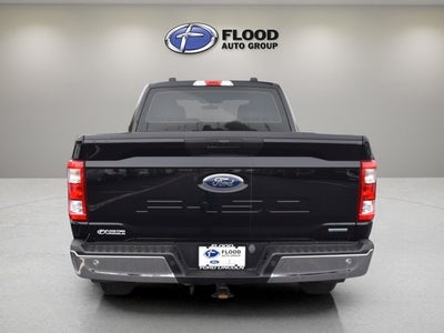 2023 Ford F-150 Base
